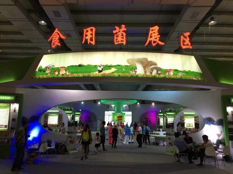 M88-M88体育(中国集团)官方网站